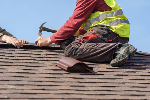 Best Metal Roofing Contractor  in Osceola, IN