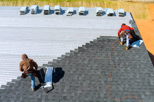 Best Roof Gutter Cleaning  in Osceola, IN