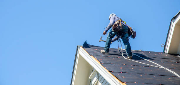 Best Storm Damage Roof Repair  in Osceola, IN
